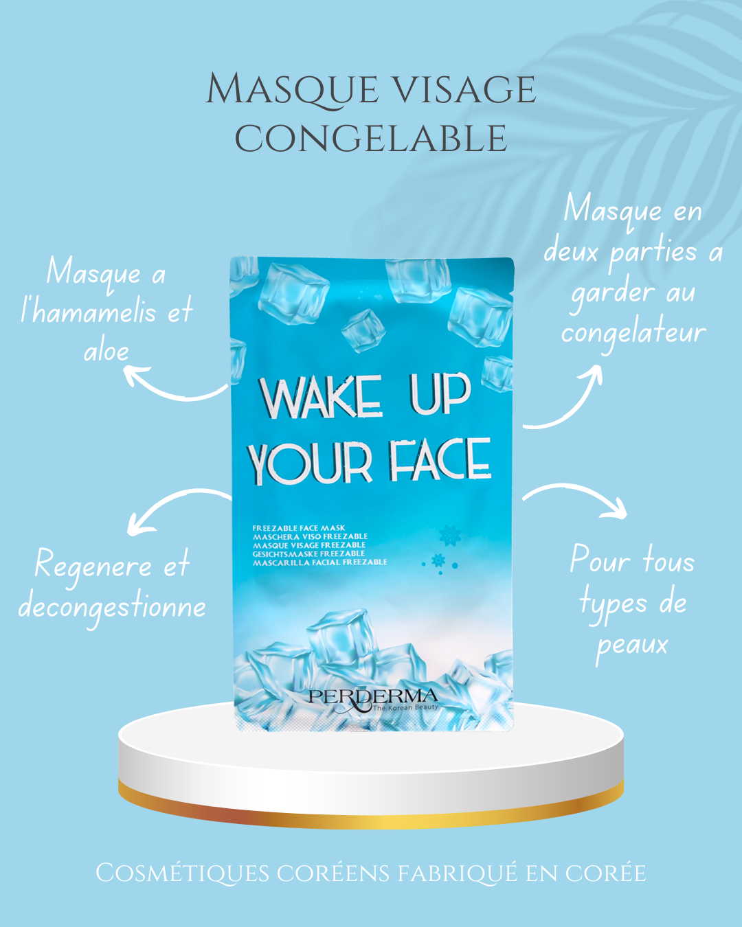 Masque visage congelable